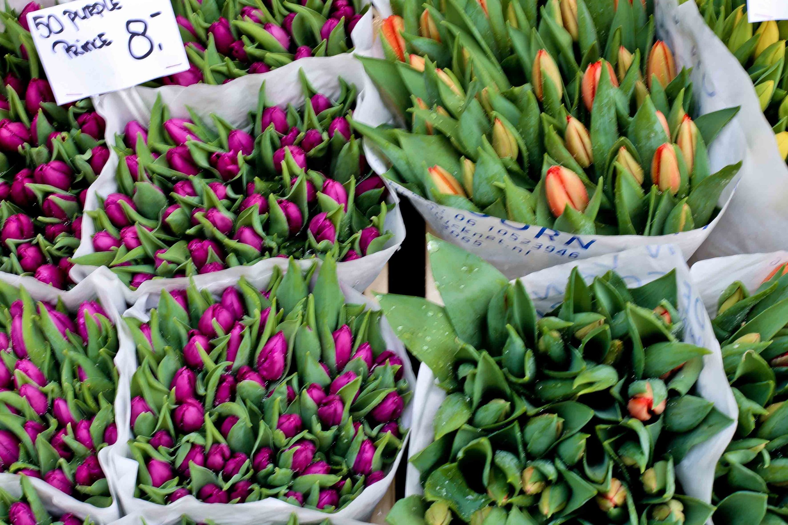 marché aux fleurs amsterdam